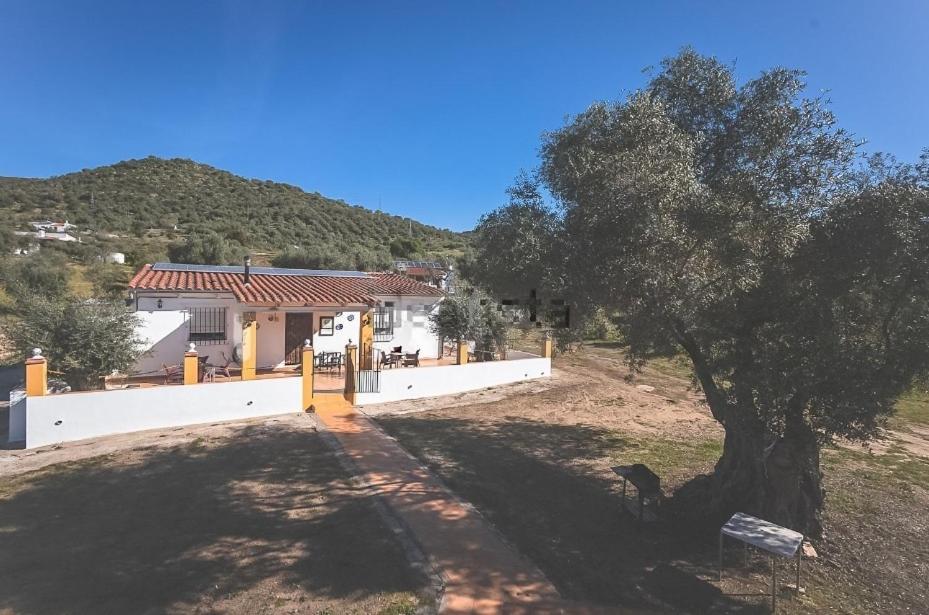 Casa Rural Los Naranjo Jerez De Los Caballeros Dış mekan fotoğraf